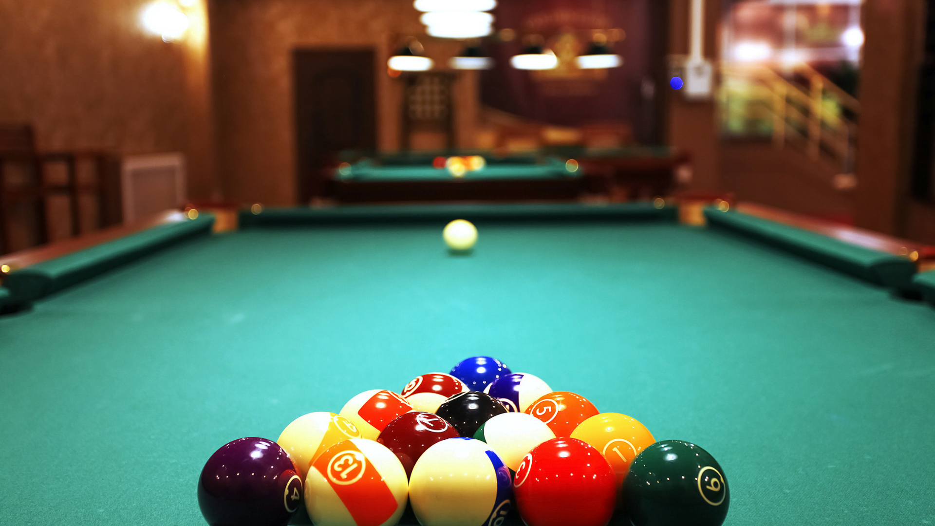 Tallahassee Bars •